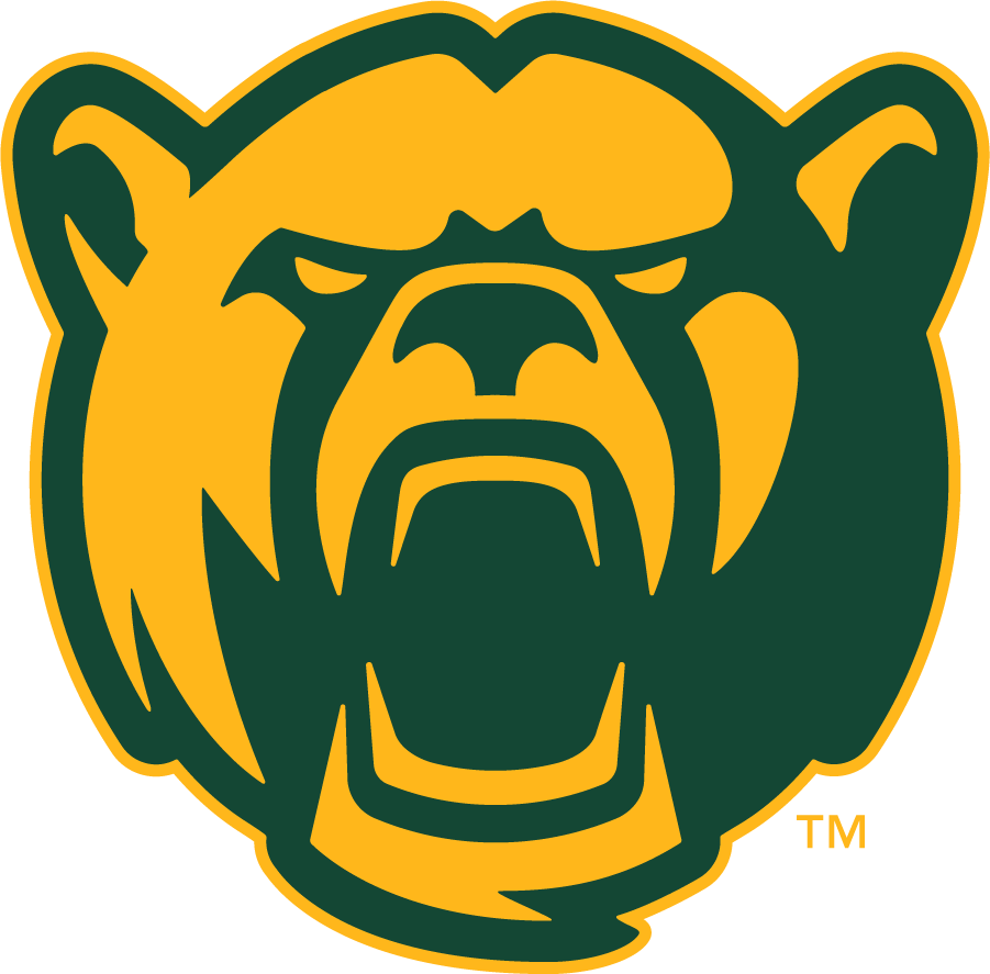 Baylor Bears 2019-Pres Secondary Logo diy DTF decal sticker